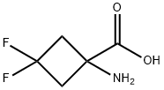 API & Intermediates2