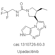 原料药研发