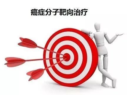 靶向治疗(targeted therapy)(图1)